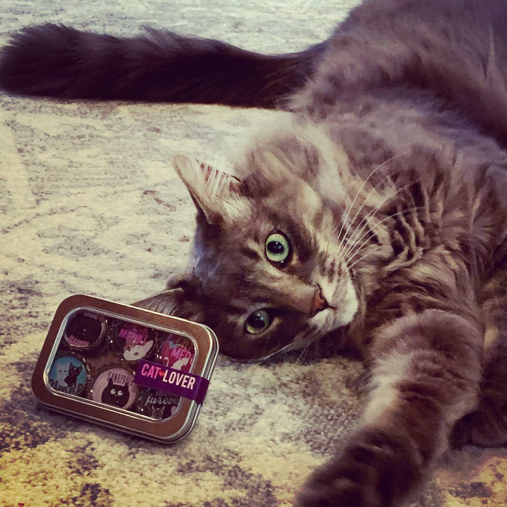 Cat Lover Magnets - Fun, Handmade & Eco-friendly