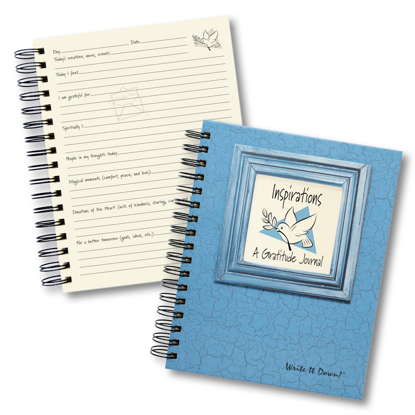 Gratitude Journal (Color)