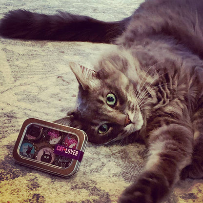Cat Lover Magnets - Fun, Handmade & Eco-friendly