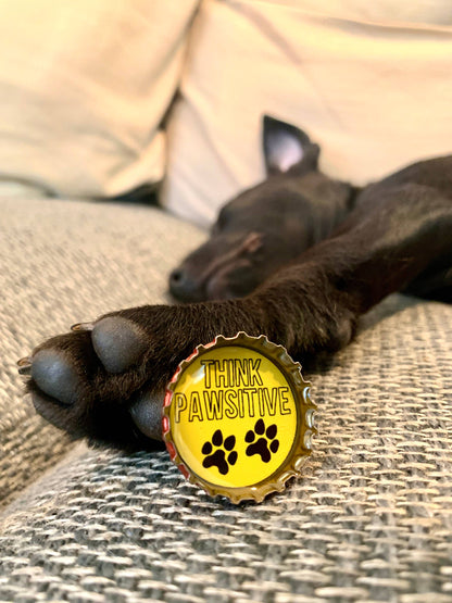 Dog Lover Magnets - Fun, Handmade & Eco-friendly
