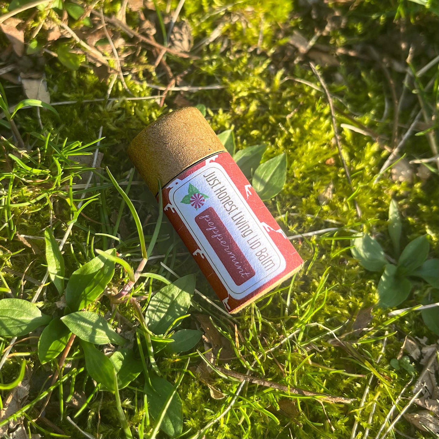 Compostable Lip Balms: Classic Peppermint