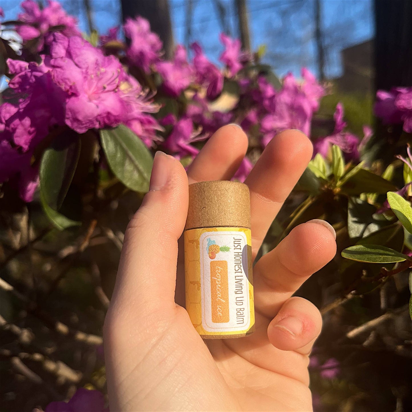 Compostable Lip Balms: Strawberry Sugar