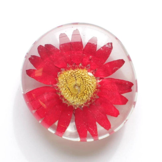 Real Flower Magnet - Glass Magnet