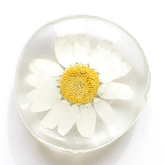 Real Flower Magnet - Glass Magnet
